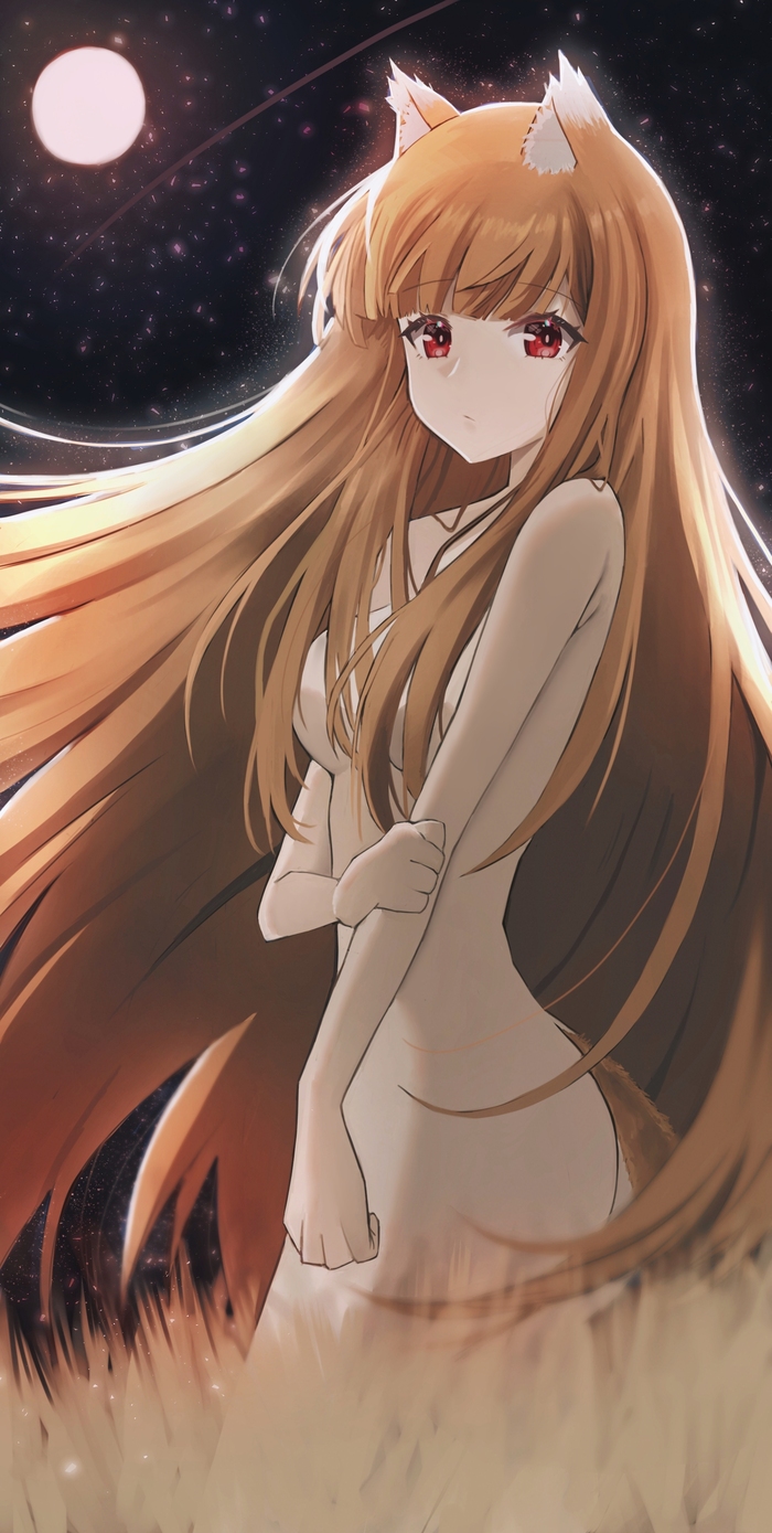 Holo - NSFW, Anime Art, Аниме, Animal Ears, Holo, Spice and wolf, Dobutsu, Голые