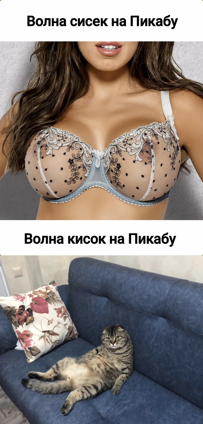 Ожидание и реальность - NSFW, Волна постов, Мемы