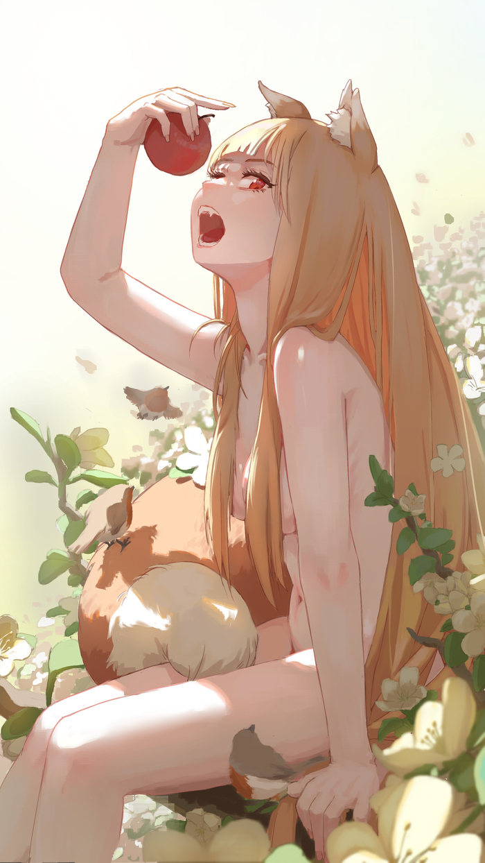 Holo - NSFW, Anime, Anime art, Spice and wolf, Holo, Animal ears, Hand-drawn erotica