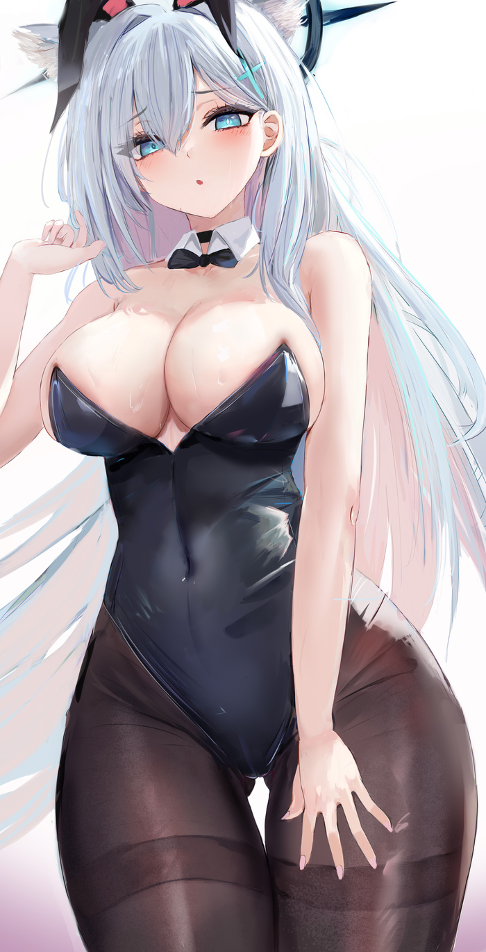 Shiroko - NSFW, Anime Art, Аниме, Blue archive, Shiroko Terror, Animal Ears, Bunnysuit, Bunny Ears, Сиськи