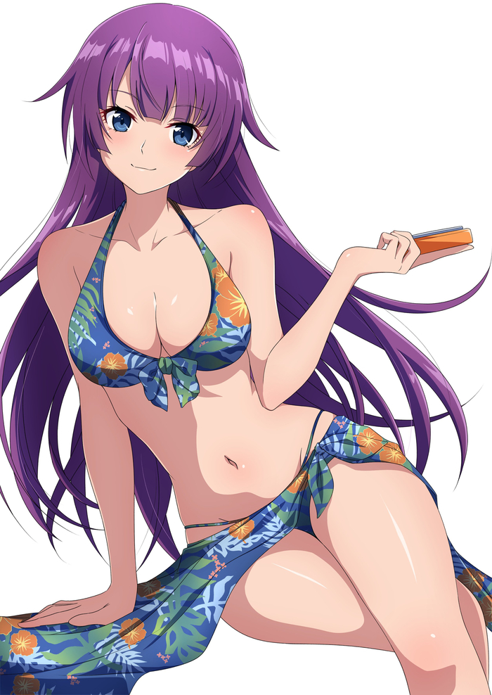 Hitagi Senjougahara - NSFW, Erotic, Boobs, Girls, Anime art, Anime, Art, Hitagi senjougahara, Monogatari series, Bikini