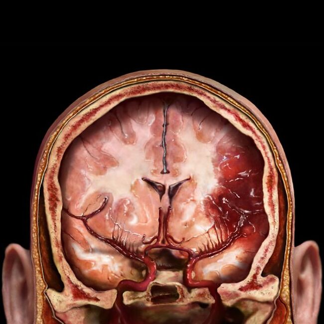 Entertaining anatomy - NSFW, The medicine, The science, Interesting, Longpost