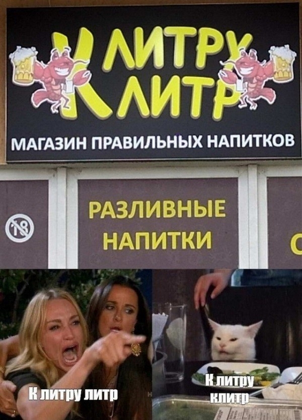 CГґtГ© is right or wrong - NSFW, Two women yell at the cat, cat, Humor